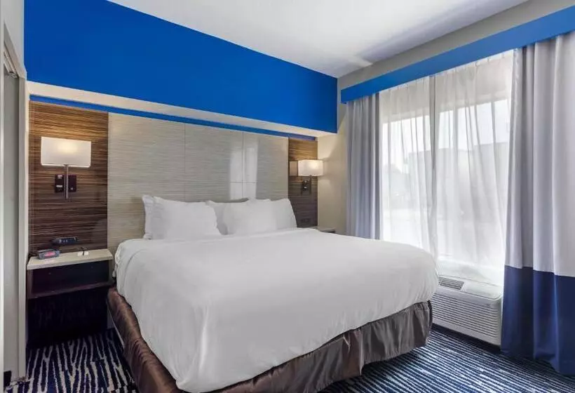 キングサイズベッドのスイートルーム, Comfort Inn & Suites