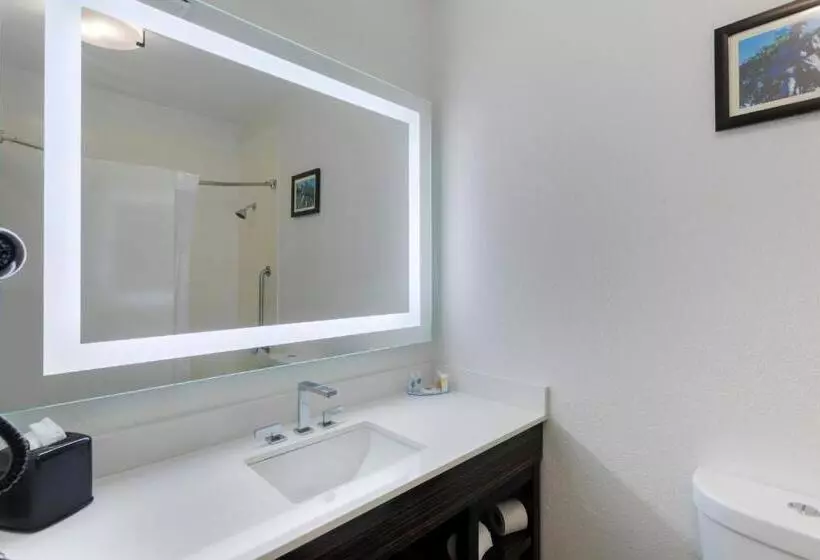 キングサイズベッドのスイートルーム, Comfort Inn & Suites