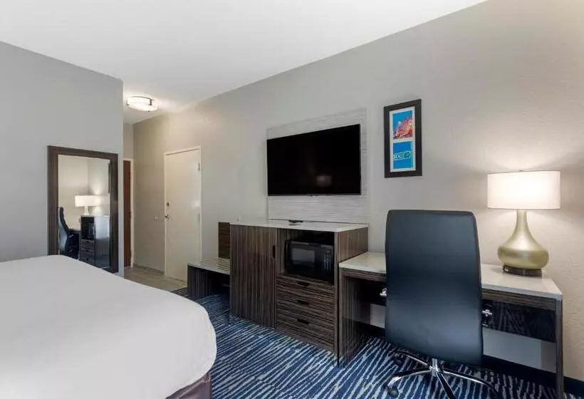 身障者適用キングサイズベッドルーム, Comfort Inn & Suites