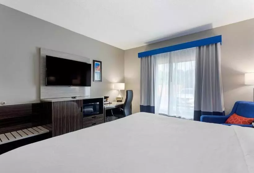 身障者適用キングサイズベッドルーム, Comfort Inn & Suites