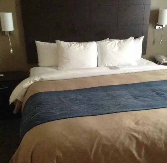 اتاق استاندارد با تخت بزرگ, Comfort Inn & Suites Waterloo  Cedar Falls