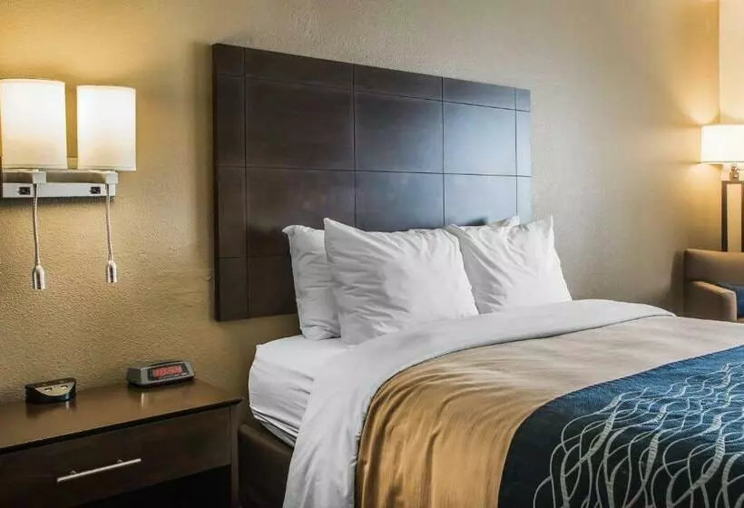 اتاق استاندارد با تخت بزرگ, Comfort Inn & Suites Waterloo  Cedar Falls