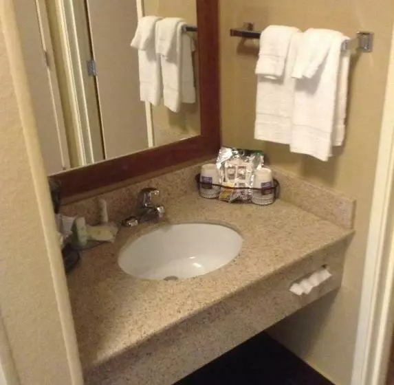اتاق استاندارد با تخت بزرگ, Comfort Inn & Suites Waterloo  Cedar Falls