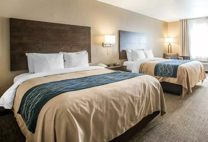 اتاق استاندارد, Comfort Inn & Suites Waterloo  Cedar Falls