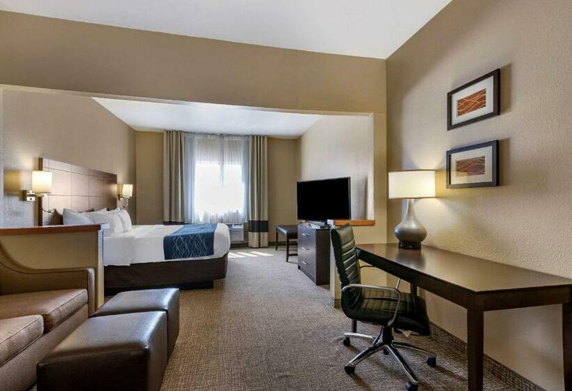 جناح سرير كينج, Comfort Inn & Suites Waterloo  Cedar Falls