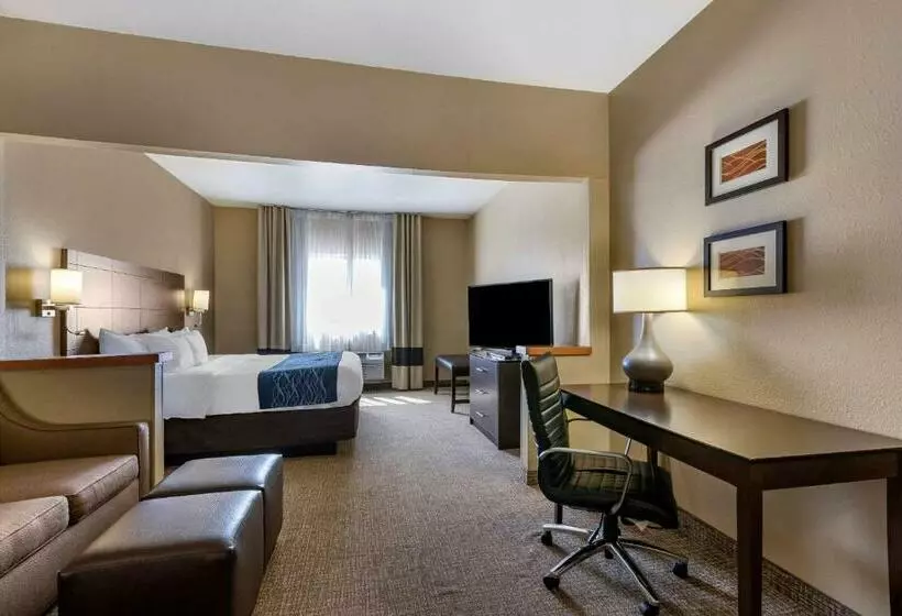 سوئیت با تخت بزرگ, Comfort Inn & Suites Waterloo  Cedar Falls