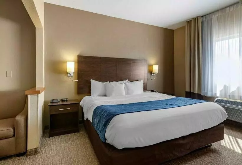 سوئیت با تخت بزرگ, Comfort Inn & Suites Waterloo  Cedar Falls