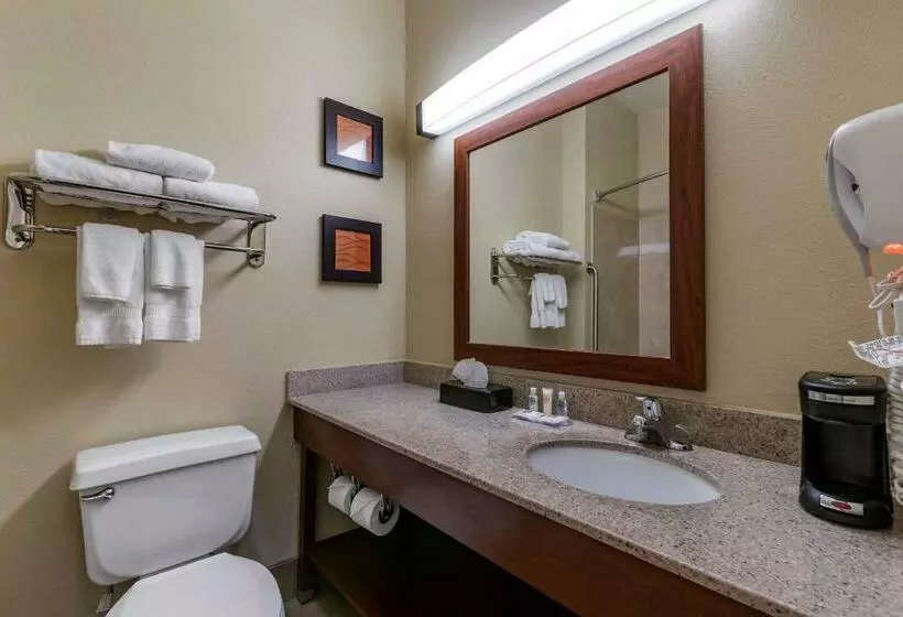 سوئیت با تخت بزرگ, Comfort Inn & Suites Waterloo  Cedar Falls