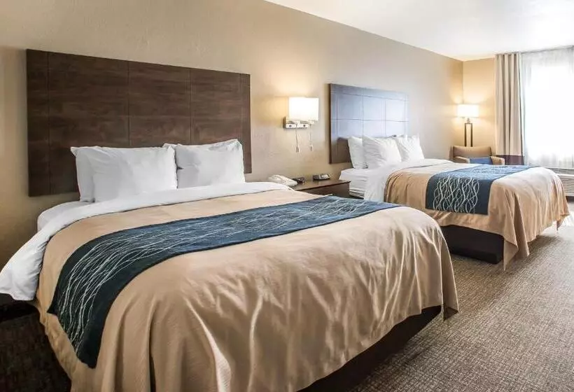 اتاق استاندارد برای معلولان, Comfort Inn & Suites Waterloo  Cedar Falls