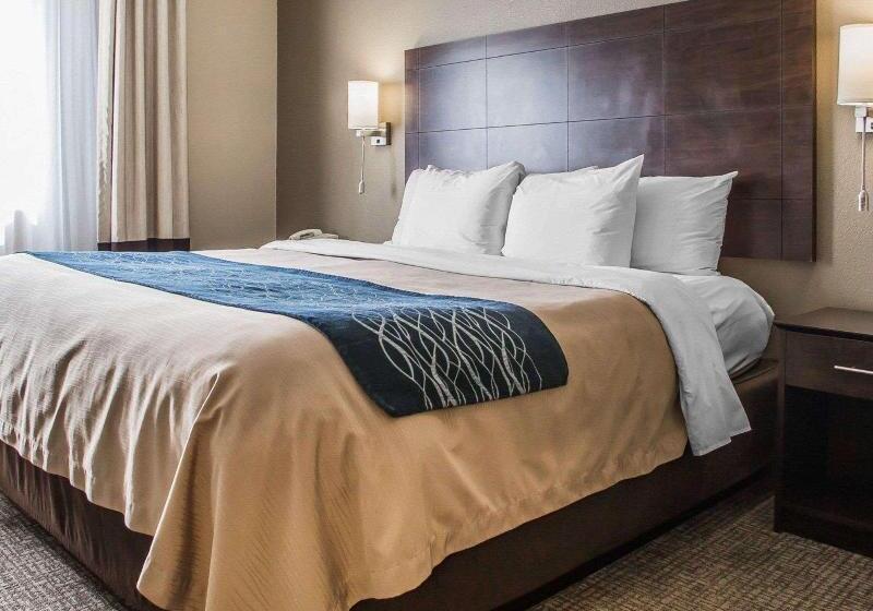 جناح سرير كينج, Comfort Inn & Suites Waterloo  Cedar Falls