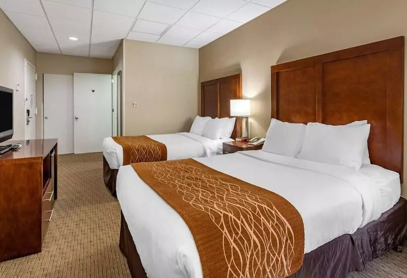 ２ダブルベッドのスタンダードルーム, Comfort Inn Syossetlong Island