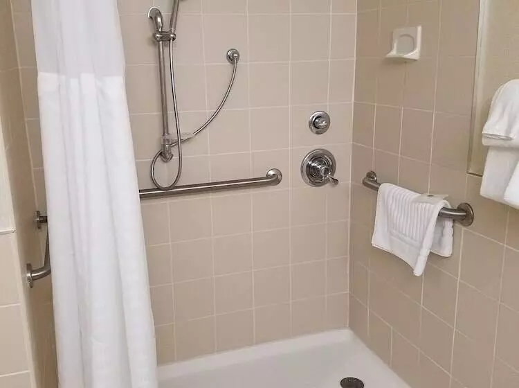 身障者適用スイートルーム, Comfort Inn Syossetlong Island