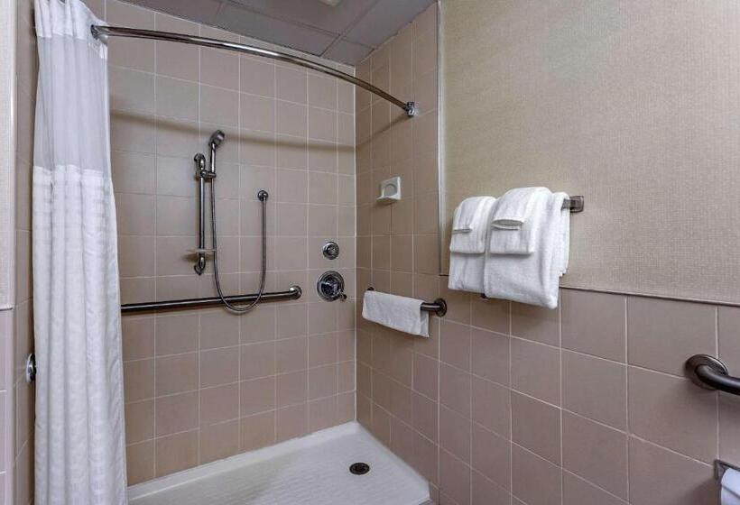 适合残疾人士使用的带超级大床的标准间, Comfort Inn Syossetlong Island