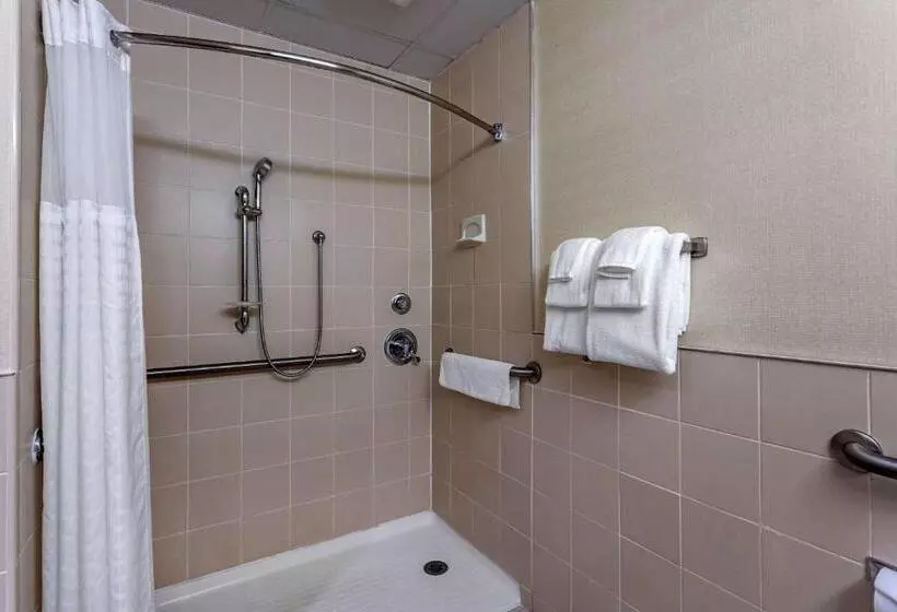 身障者適用キングサイズベッドルーム, Comfort Inn Syossetlong Island