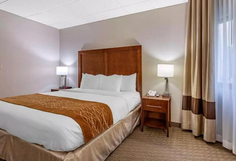 身障者適用キングサイズベッドルーム, Comfort Inn Syossetlong Island