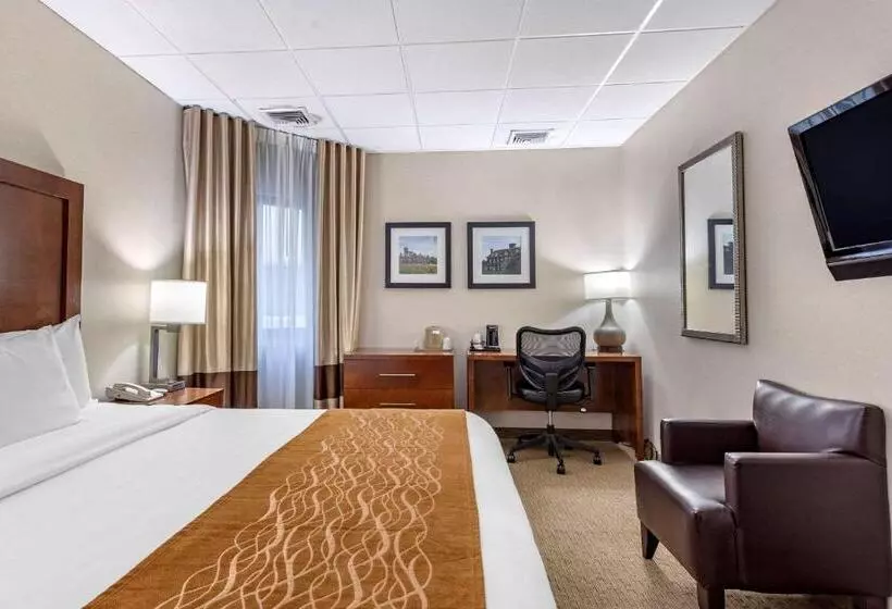 身障者適用キングサイズベッドルーム, Comfort Inn Syossetlong Island