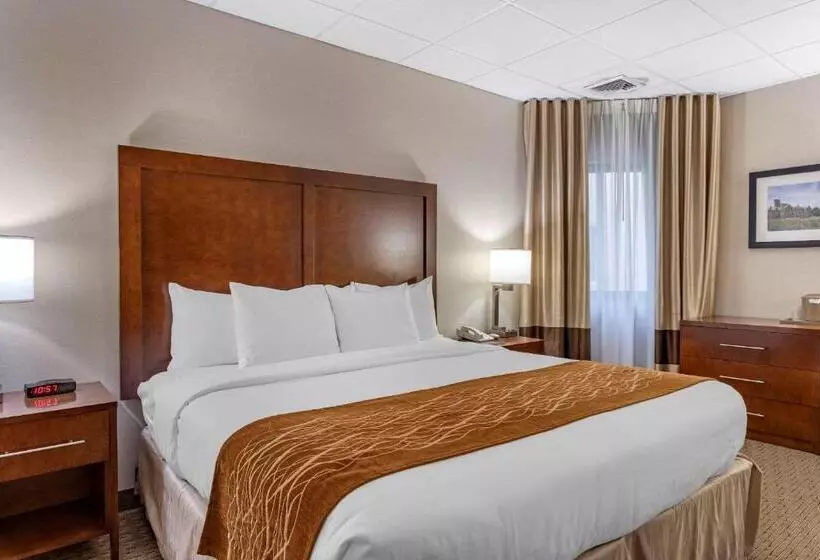 身障者適用キングサイズベッドルーム, Comfort Inn Syossetlong Island