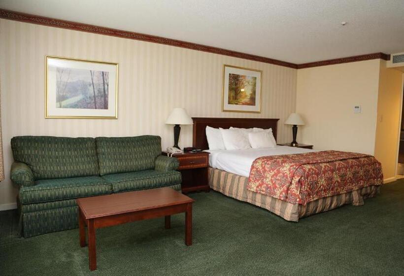 غرفة قياسية سرير كينج, Fairbanks Inn