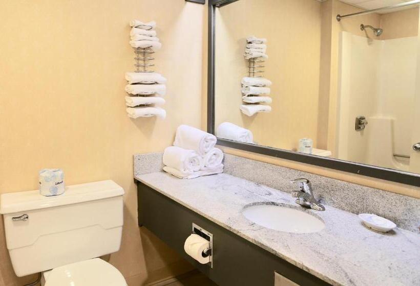 Mini Suite, Fairbanks Inn