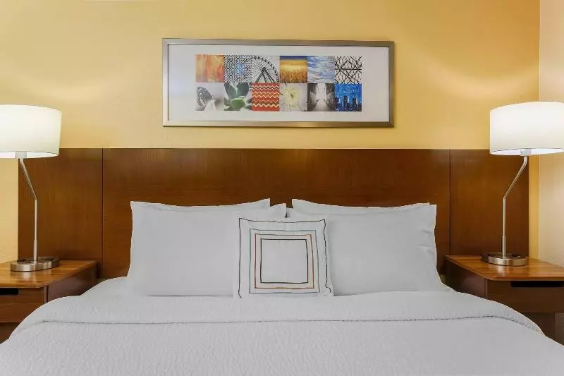 キングサイズベッドのスタンダードルーム, Fairfield Inn And Suites By Marriott Tampa Brandon