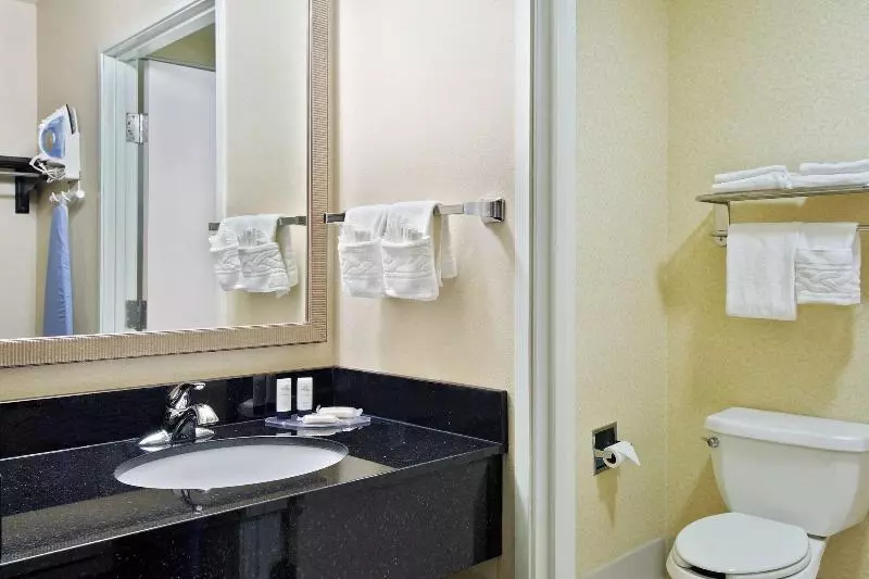 キングサイズベッドのスタンダードルーム, Fairfield Inn And Suites By Marriott Tampa Brandon