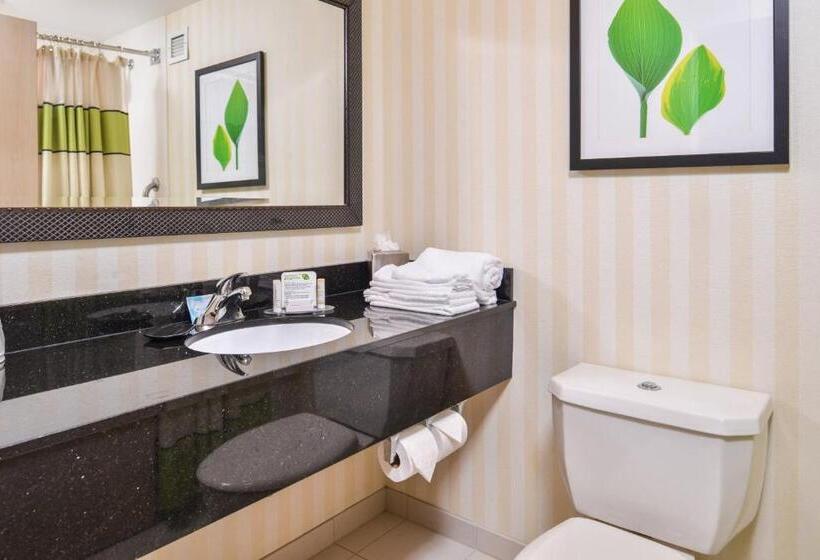 带大床的标准间, Fairfield Inn Corning Riverside