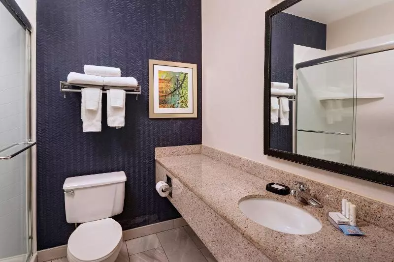 キングサイズベッドのスタンダードルーム, Fairfield Inn Saint Louis Collinsville