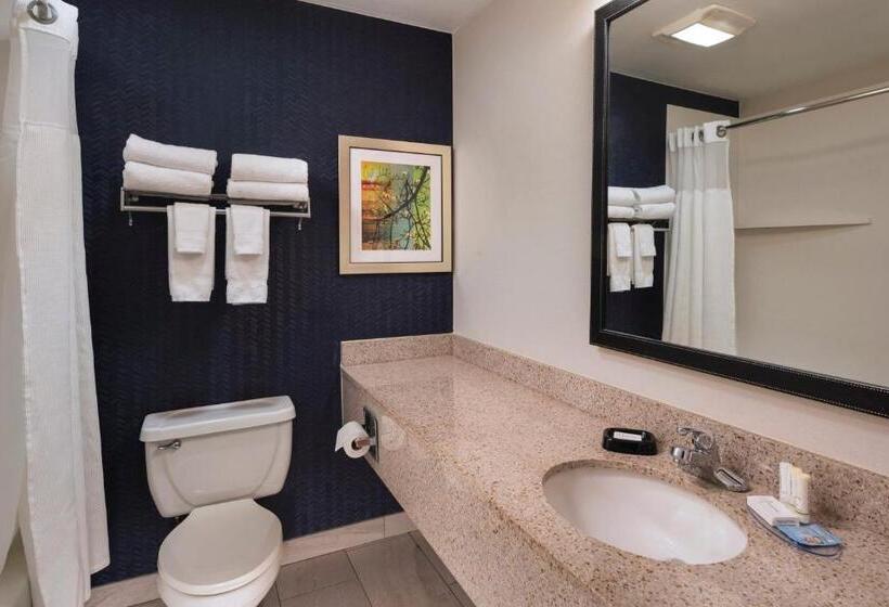 غرفة قياسية سرير كينج, Fairfield Inn Saint Louis Collinsville