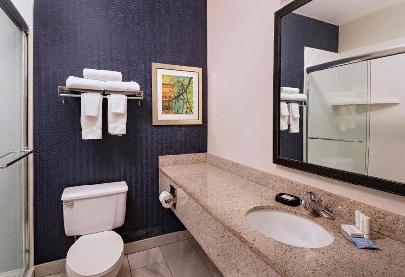 Номер Executive Кровать Кинг, Fairfield Inn Saint Louis Collinsville