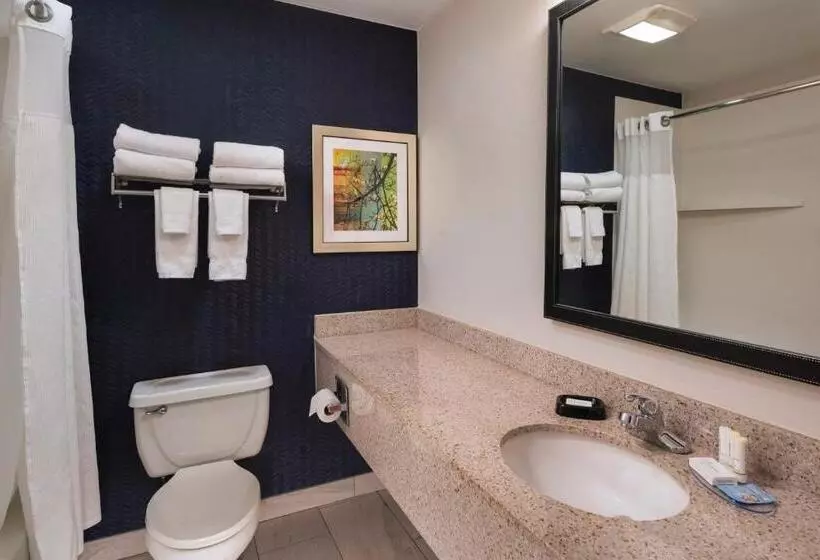 キングサイズベッドのエクゼクティブルーム, Fairfield Inn Saint Louis Collinsville