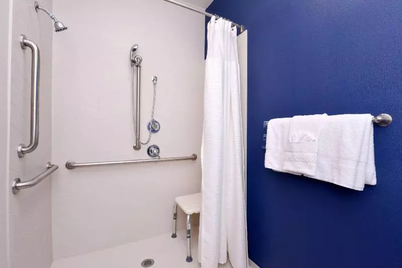 キングサイズベッドのスタンダードルーム, Fairfield Inn Arlington Near Six Flags