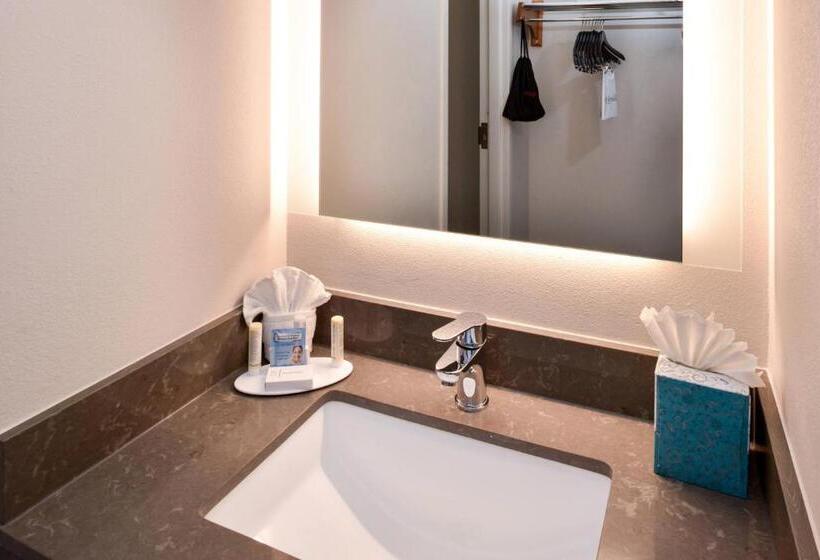 غرفه قياسيه سريرين مزدوجين, Fairfield Inn Arlington Near Six Flags