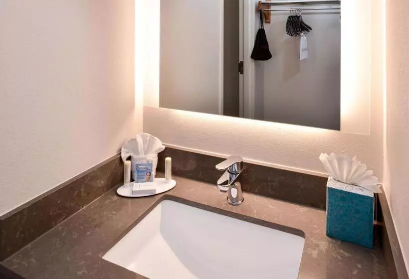 ２ダブルベッドのスタンダードルーム, Fairfield Inn Arlington Near Six Flags