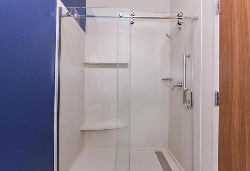 غرفة قياسية سرير كينج, Fairfield Inn Arlington Near Six Flags