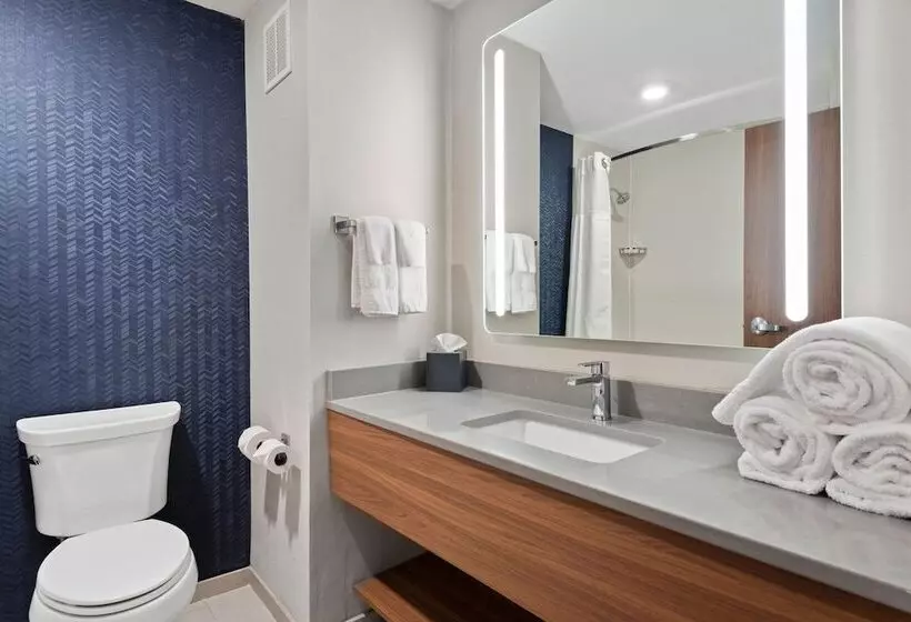 ２ダブルベッドのスタンダードルーム, Fairfield Inn & Suites By Marriott Hickory