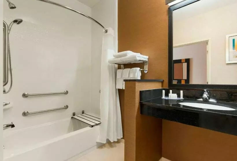 اتاق استاندارد با تخت بزرگ, Fairfield Inn & Suites Saginaw