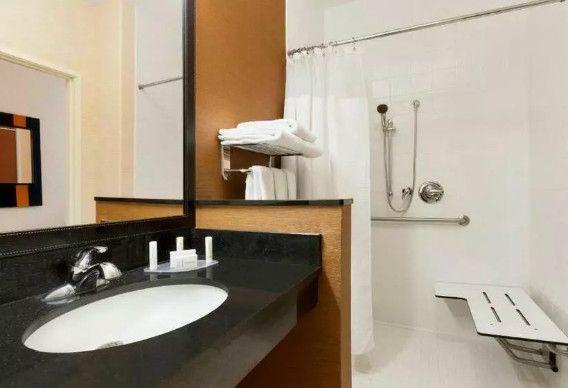 اتاق استاندارد با تخت بزرگ, Fairfield Inn & Suites Saginaw