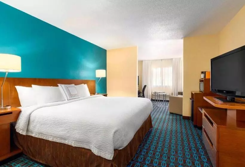 اتاق لوکس با تخت بزرگ, Fairfield Inn & Suites Saginaw