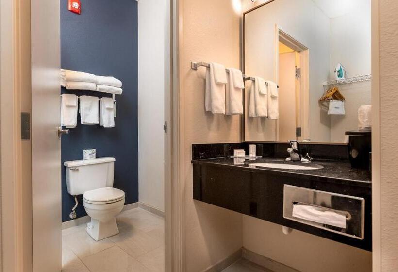 غرفة قياسية, Fairfield Inn & Suites By Marriott Spearfish