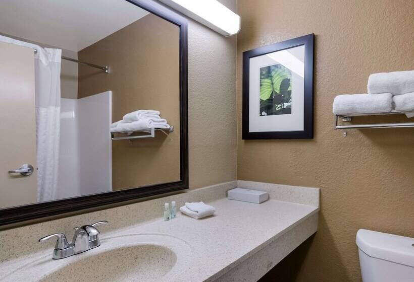 스탠다드 룸, Mainstay Suites Knoxville  Cedar Bluff