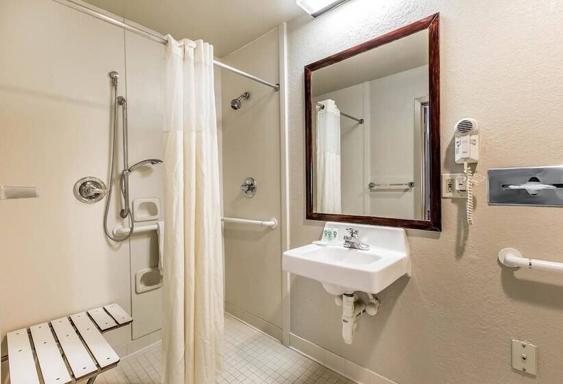 ２ダブルベッドのスタンダードルーム, Quality Inn Homewood Birmingham I 65