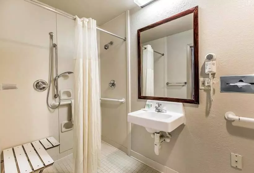 ２ダブルベッドのスタンダードルーム, Quality Inn Homewood Birmingham I 65