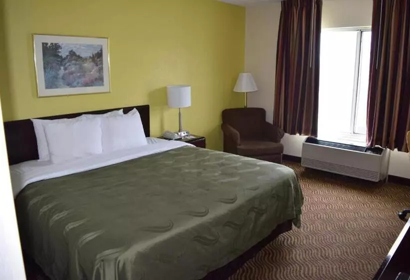 キングサイズベッドのスタンダードルーム, Quality Inn
