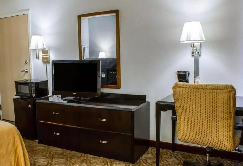 キングサイズベッドのスタンダードルーム, Quality Inn