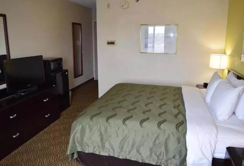 キングサイズベッドのスタンダードルーム, Quality Inn