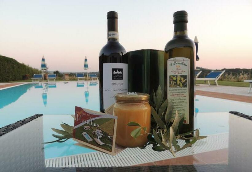 חדר סטנדרט, Agriturismo Il Cavallino Saturnia