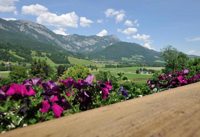 غرفة قياسية, Herrschaftstaverne