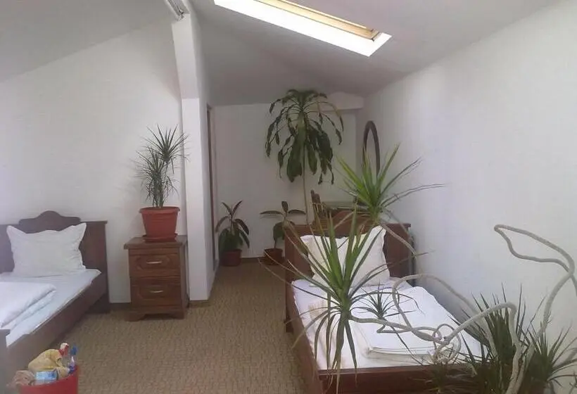 スタンダード４人部屋, Guest House Todorini Kashti