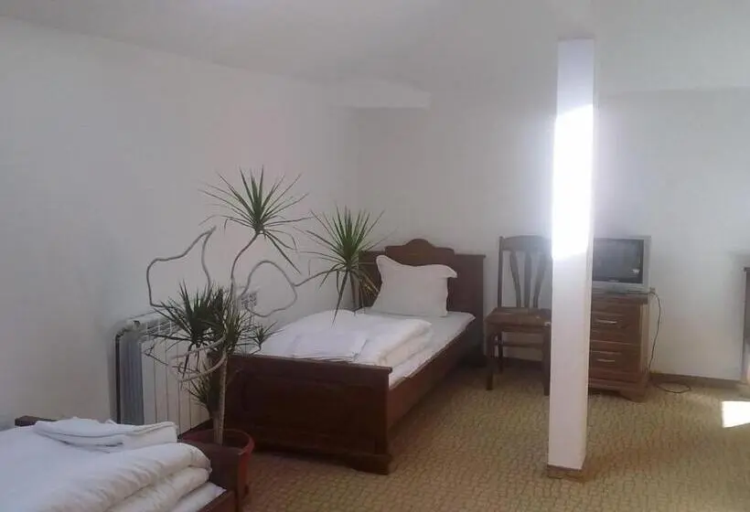 スタンダード４人部屋, Guest House Todorini Kashti