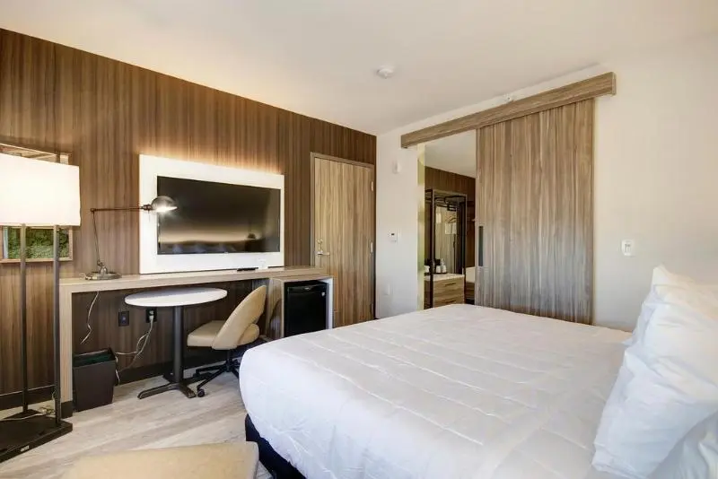 اتاق استاندارد با تخت بزرگ, Wyndham Garden Sacramento Airport Natomas